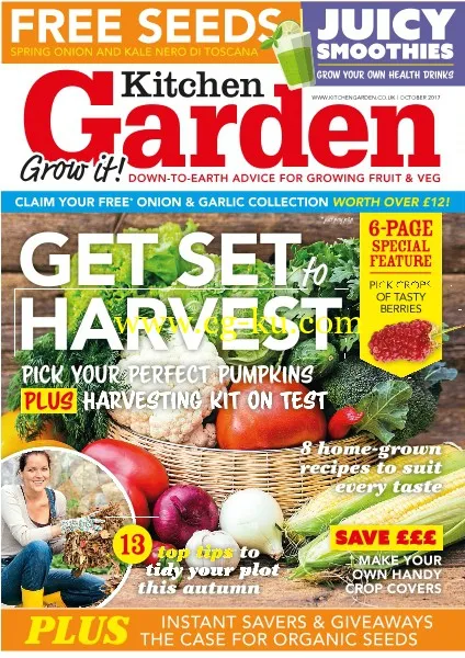 Kitchen Garden – October 2017-P2P的图片1