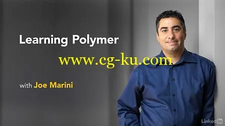 Lynda – Learning Polymer的图片1