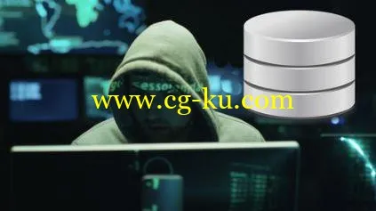 Database Security for Cyber Professionals的图片1