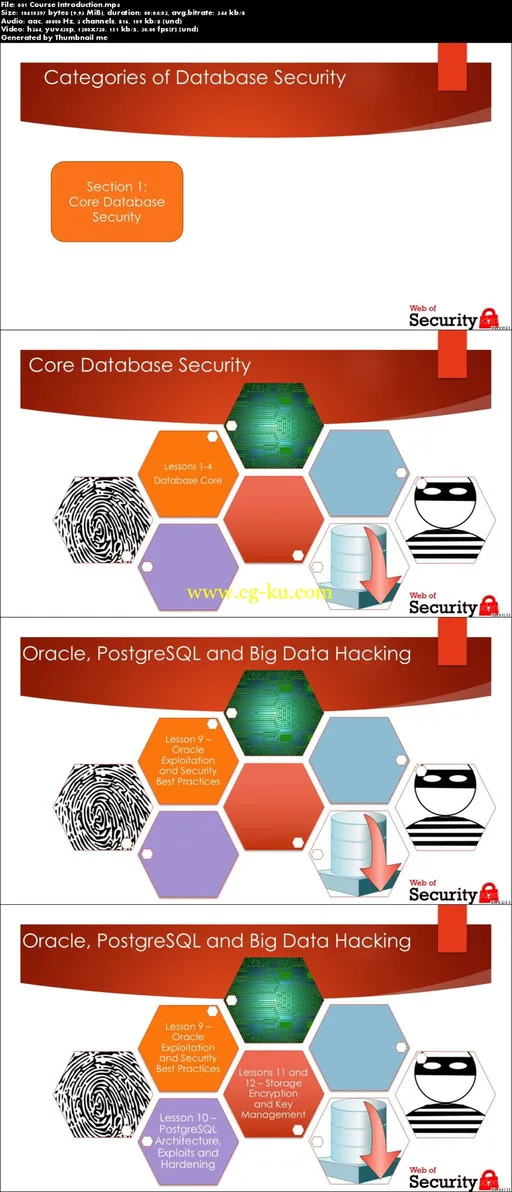 Database Security for Cyber Professionals的图片2