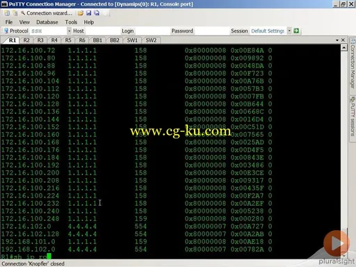 Cisco CCIE Routing and Switching Implement IPv4 and IGPs的图片4