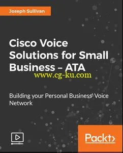 Cisco Voice Solutions for Small Business – ATA的图片1