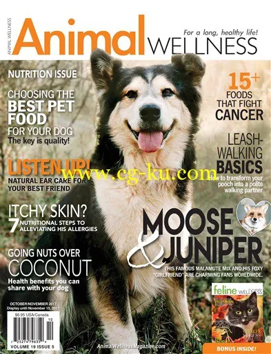 Animal Wellness – October – November 2017-P2P的图片1