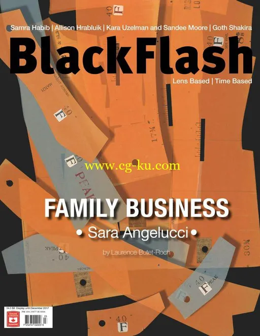 BlackFlash – September 2017-P2P的图片1