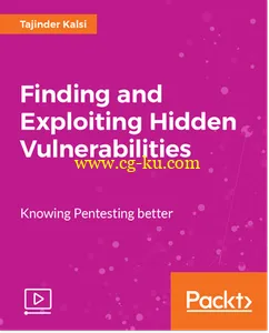 Finding and Exploiting Hidden Vulnerabilities的图片2