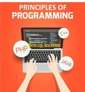 Principles of Programming的图片1