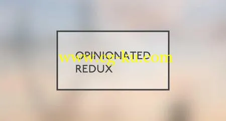 Opinionated Redux的图片1