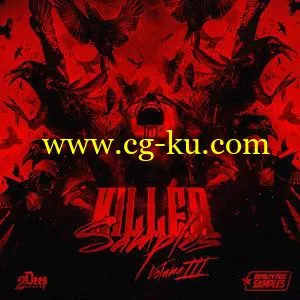 2DEEP Killer Samples Vol 3 WAV的图片1