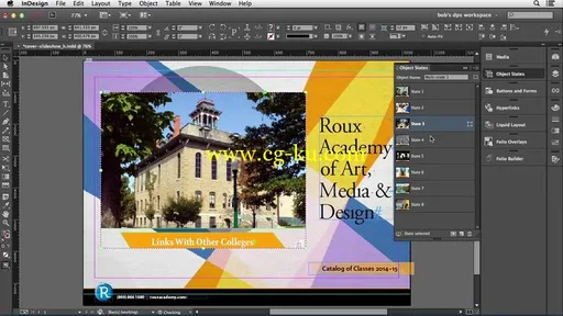 Adobe Digital Publishing Suite Essential Training的图片1