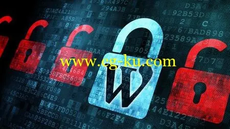 WordPress Security : Secure Your Site Against Hackers的图片1