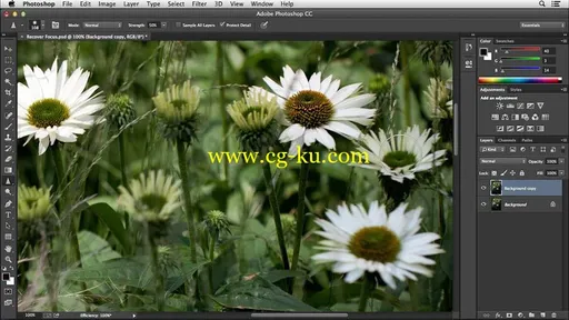 Lightroom and Photoshop: Noise Reduction and Sharpening的图片1