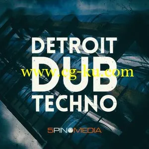 5Pin Media Detroit Dub Techno MULTiFORMAT的图片1