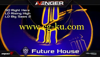 Vengeance Avenger Expansion Pack Future House的图片1