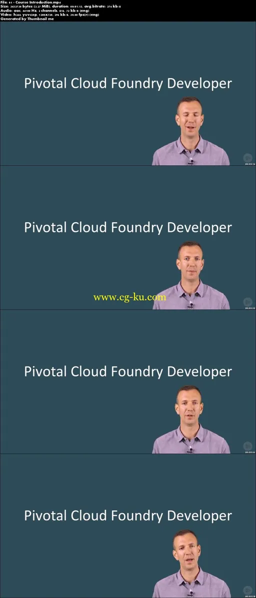 Pivotal Cloud Foundry Developer的图片1