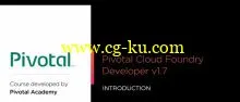 Pivotal Cloud Foundry Developer的图片2