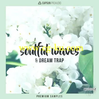 CAPSUN ProAudio Soulful Waves and Dream Trap WAV的图片1