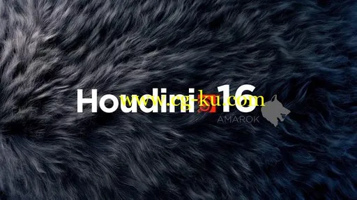 SideFx Houdini FX 16.5.536 Win x64的图片1