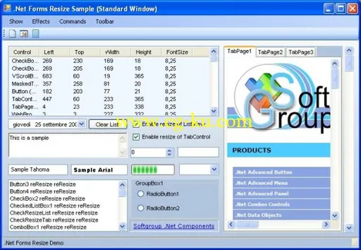 Softgroup .NET Forms Resize 7.5的图片1