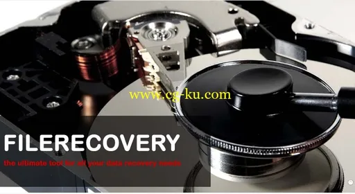 LC Technology FILERECOVERY 2014 Enterprise 5.5.7.6 Multilingual的图片1