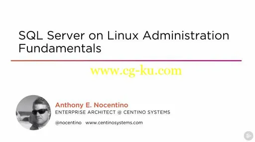 SQL Server on Linux Administration Fundamentals的图片1