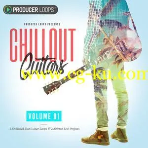 Producer Loops Chillout Guitars WAV REX Ableton Live Projects的图片1