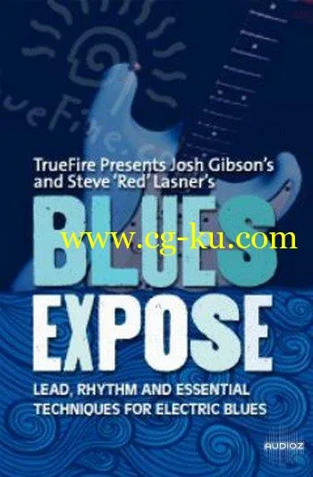 Truefire – Steve Lasner – Blues Expose的图片1