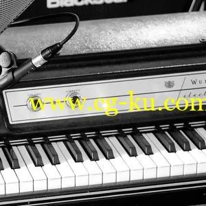 Soniccouture Electric Pianos v1.0 ALP的图片1