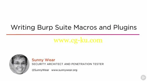Writing Burp Suite Macros and Plugins的图片1