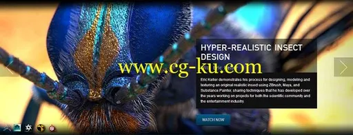 Hyper-realistic Insect Design with Eric Keller 2017的图片1