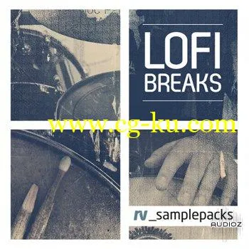 RV Samplepacks Lofi Breaks WAV REX的图片1