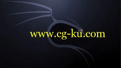 Fundamentals of Kali Linux的图片1