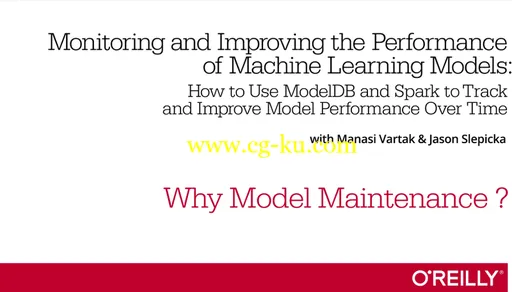 Monitoring and Improving the Performance of Machine Learning Models的图片1