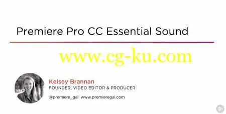 Premiere Pro CC Essential Sound的图片1