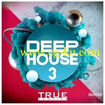True Samples Deep House 3 WAV MiDi REVEAL SOUND SPiRE的图片1