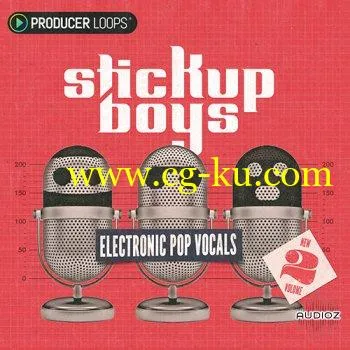 Producer Loops Stick Up Boys Electronic Pop Vocals Vol 2 MULTiFORMAT的图片1