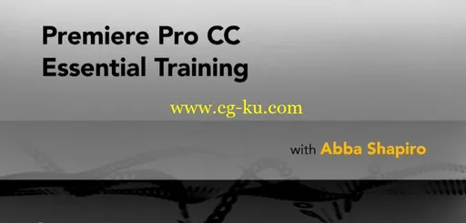 Premiere Pro CC Essential Training的图片1