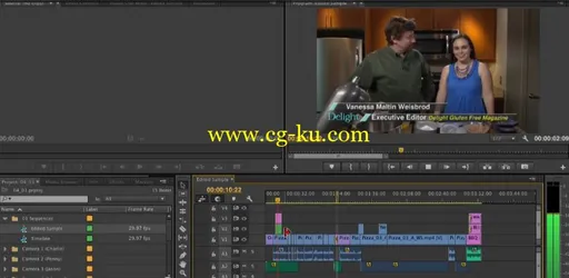 Premiere Pro CC Essential Training的图片2