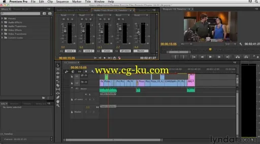 Premiere Pro CC Essential Training的图片3