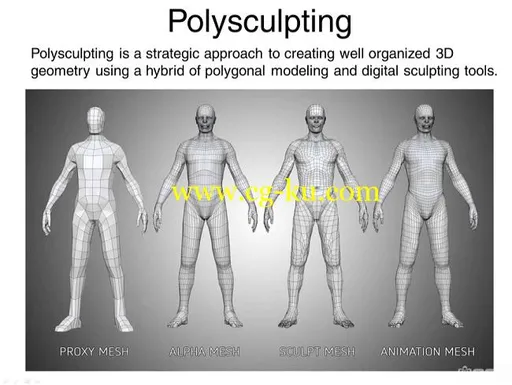 CGSociety – Polysculpting – learn to create any 3D form in any software的图片1