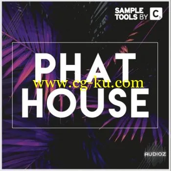 Cr2 Records Phat House WAV MiDi LENNAR DiGiTAL SYLENTH1的图片1