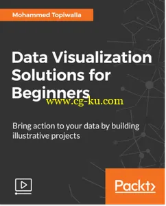 Data Visualization Solutions for Beginners的图片1