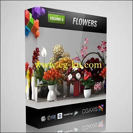 CGAxis Models Volume 6 Flowers的图片1