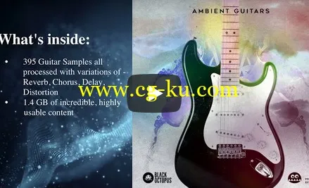 Black Octopus Sound Ambient Guitars WAV-DISCOVER的图片2