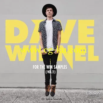 Dave Winnel For The Win Vol.2 WAV的图片1