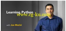 Learning Python (2018)的图片1