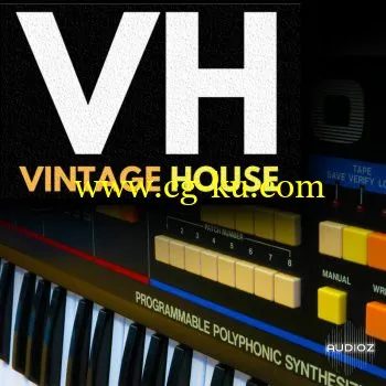 Studio Slave Vintage House WAV-DECiBEL的图片1