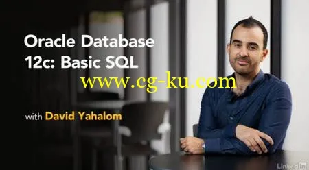 Oracle Database 12c: Basic SQL的图片2