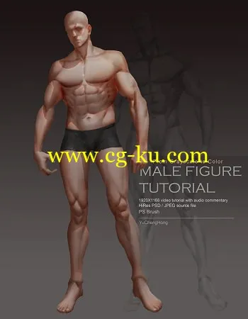 Gumroad – Male Body Tutorial Complete Version by Yu Cheng Hong的图片2