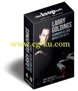 The Loop Loft Larry Goldings Vintage Keys Volume 1 WAV的图片1