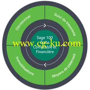 Sage 100C Entreprise Suite Comptable et Financiere i7 v2.00 EP Multilingual的图片1